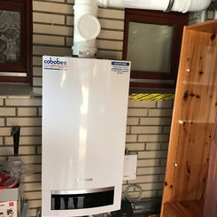 Privatkunde aus Niendorf
